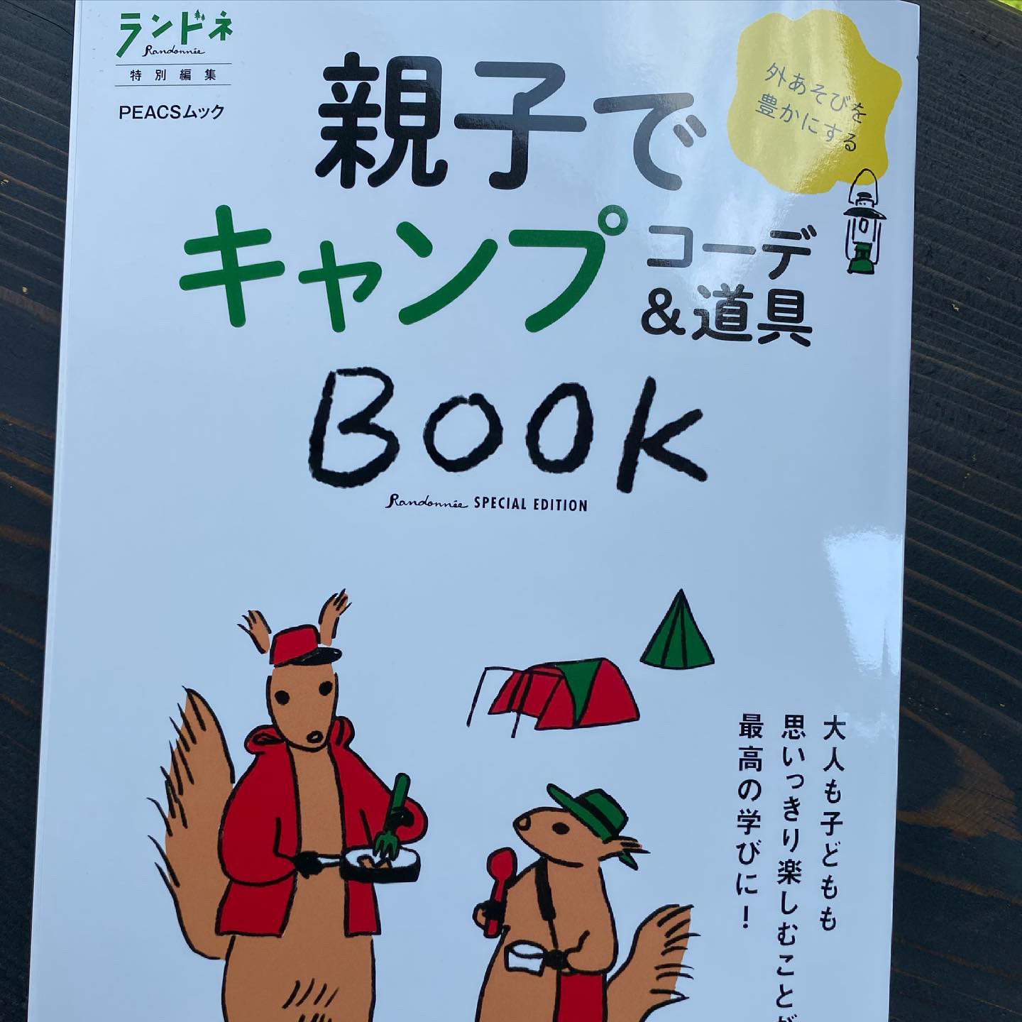 「親子でキャンプBook」1